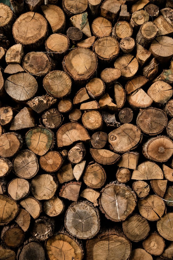 Firewood